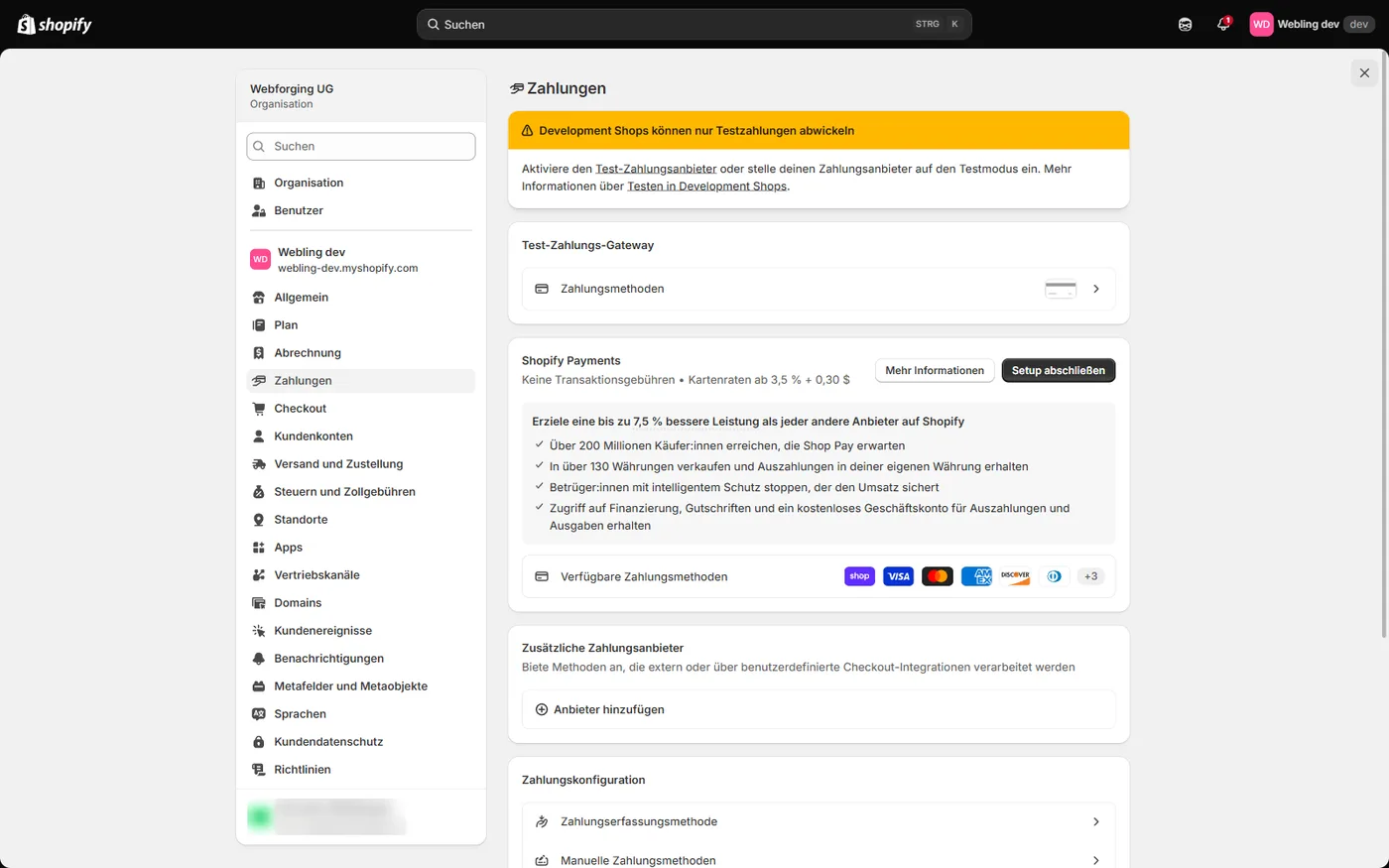 Die Zahlungseinstellungen mit Hinweis auf Testzahlungen in Development Shops und der Shopify-Payments-Karte